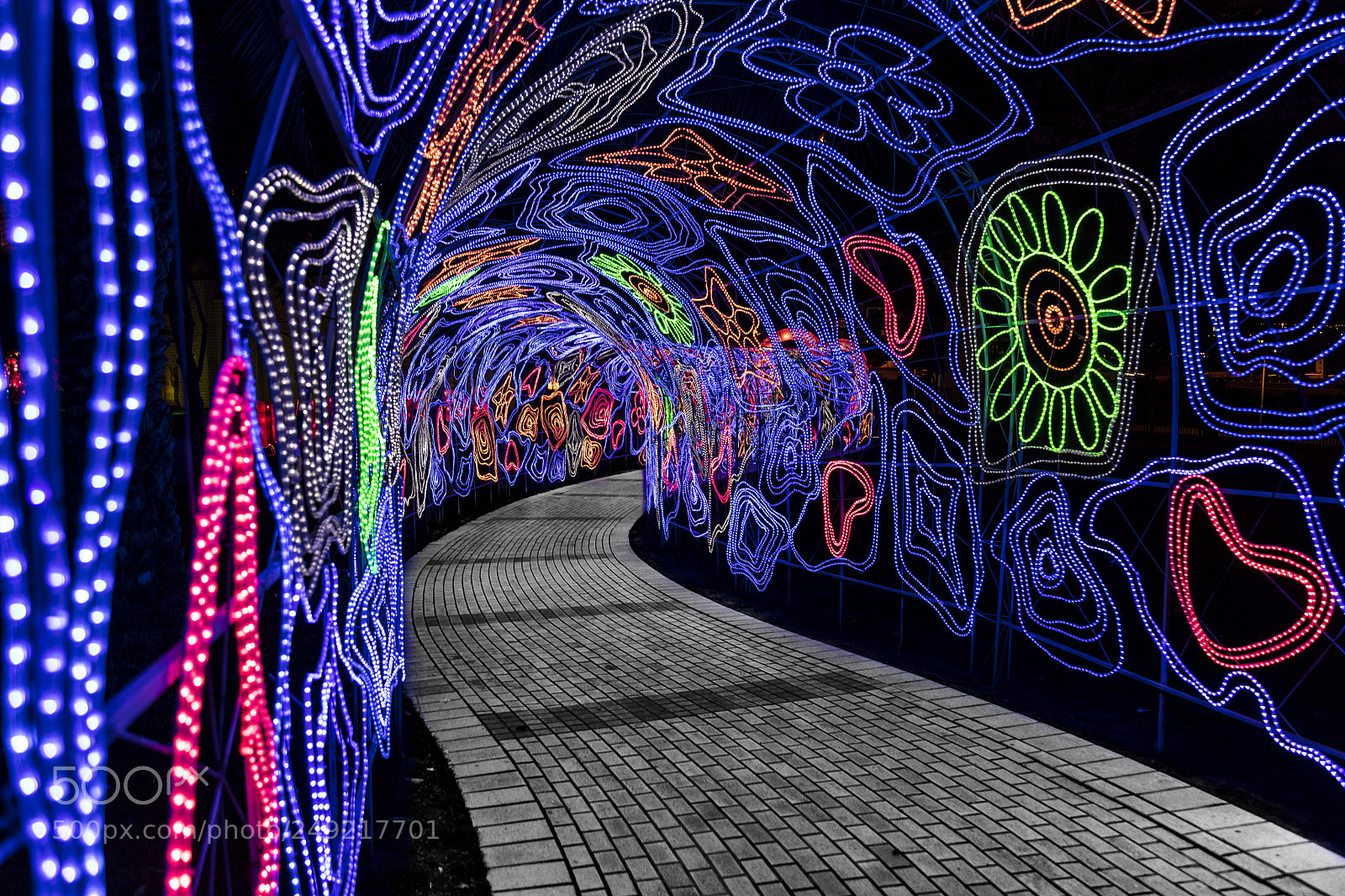 Canon EOS 5DS R sample photo. The art pathway photography