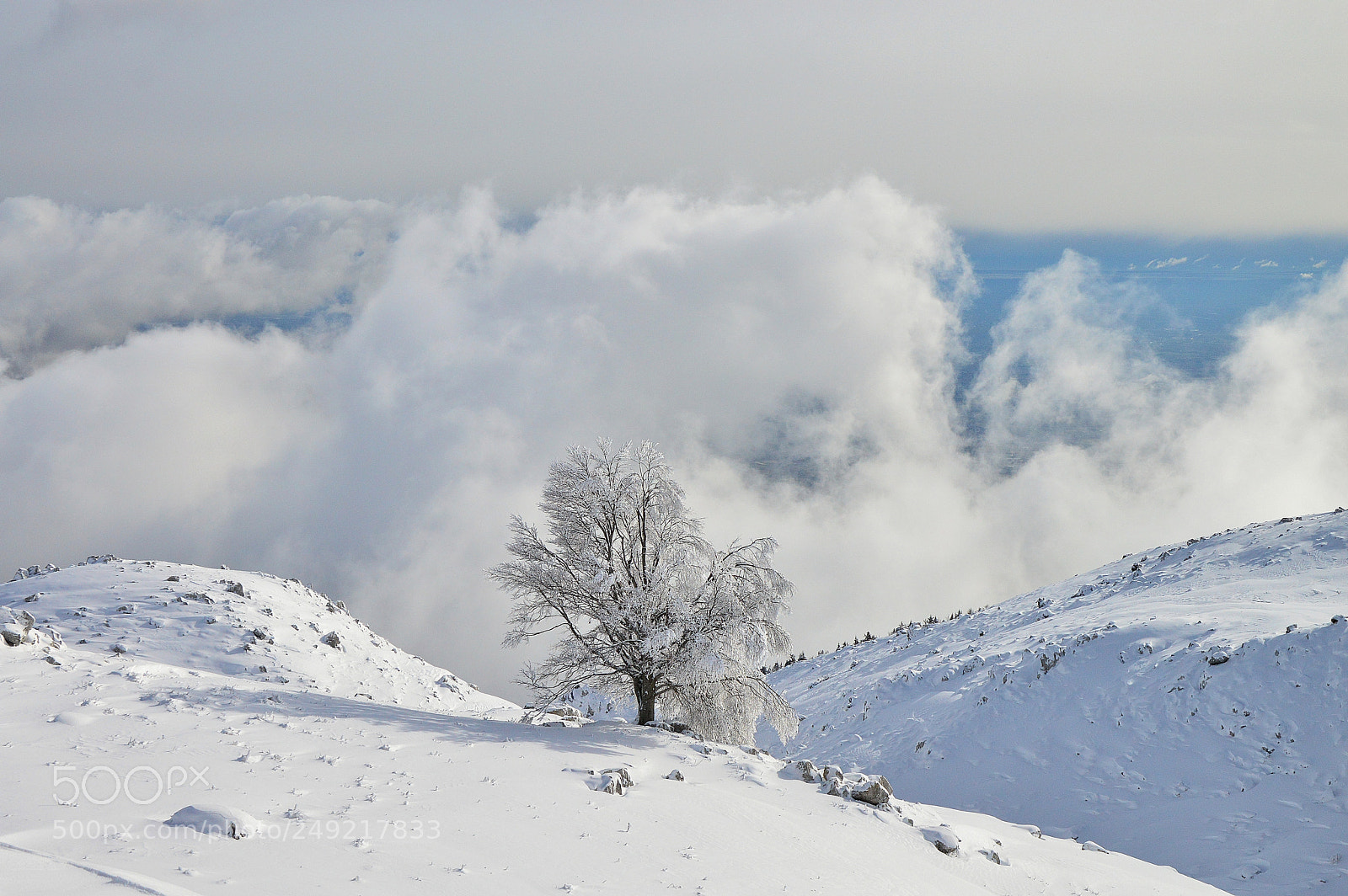 Nikon D3200 sample photo. Il faggio solitario photography