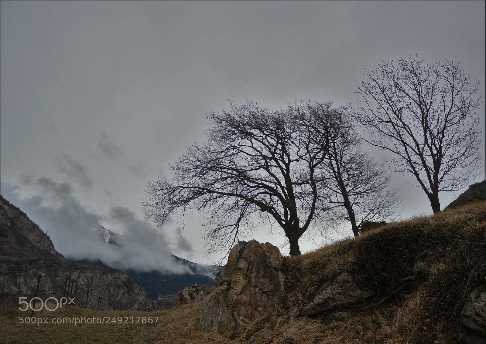 Nikon D3200 sample photo. Untitled photography