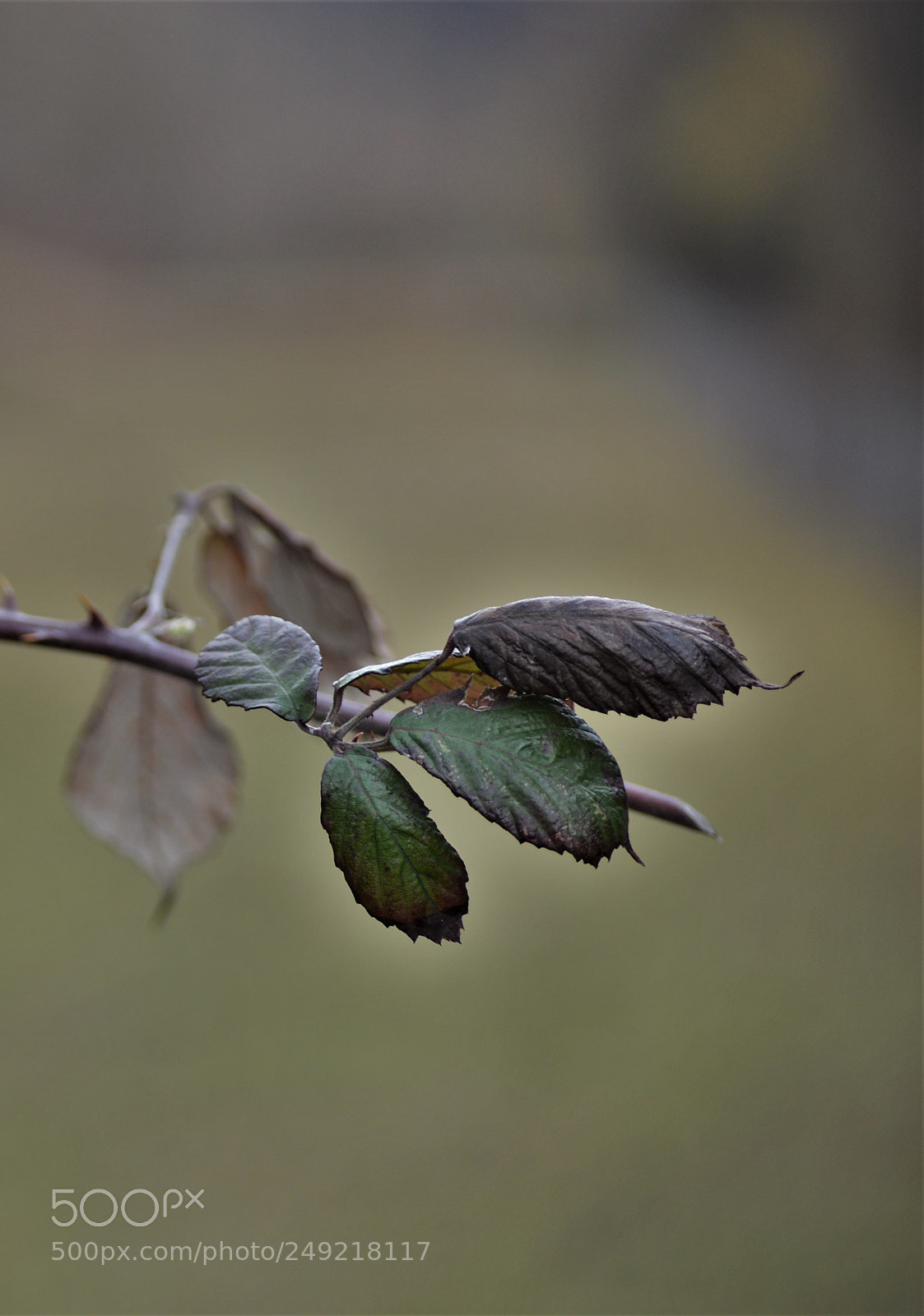 Nikon D3200 sample photo. Untitled photography