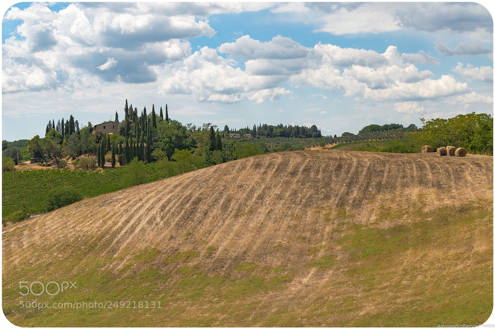 Nikon D5500 sample photo. Summer in tuscany #3 photography
