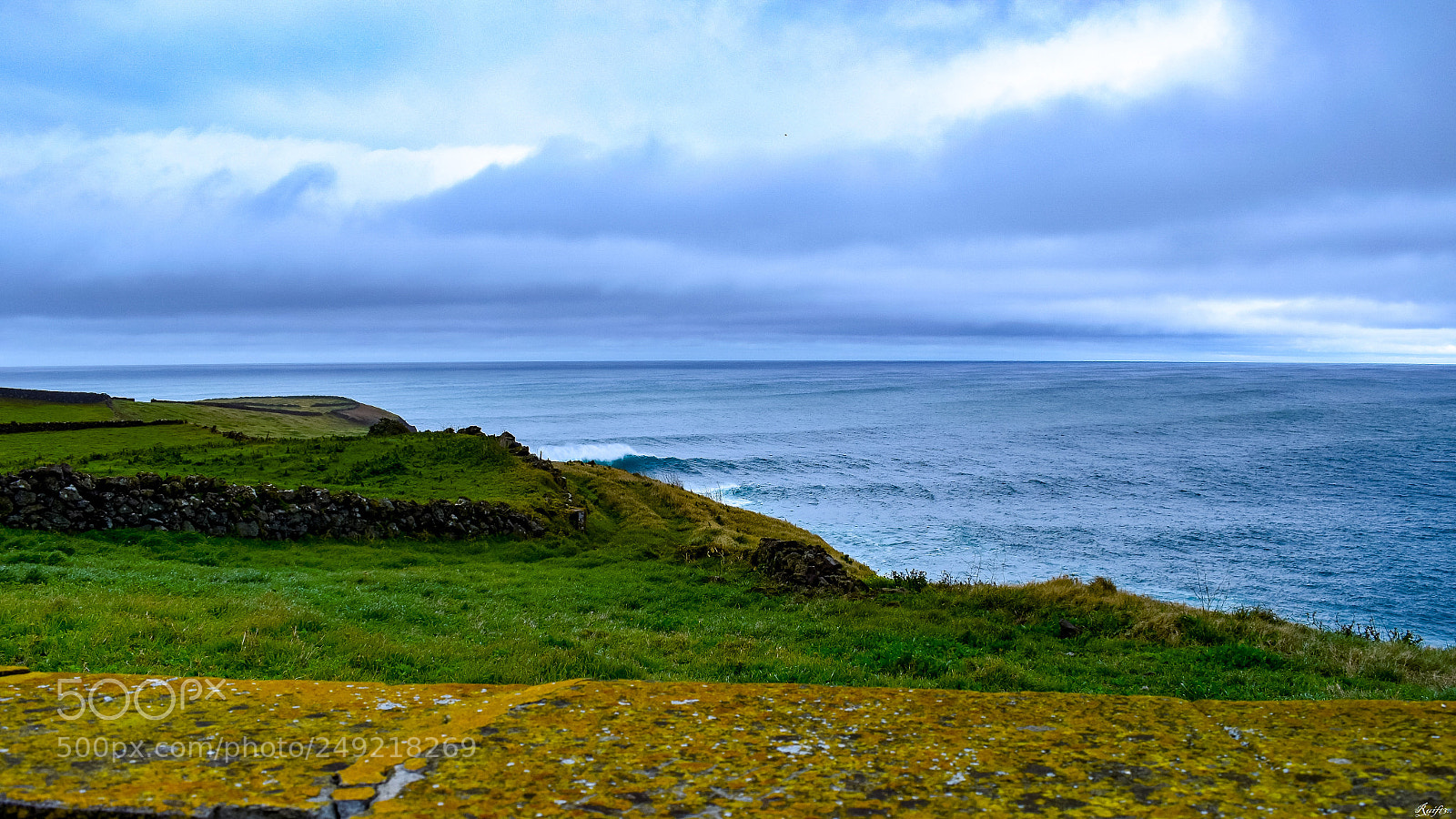 Nikon D5600 sample photo. The wave photography