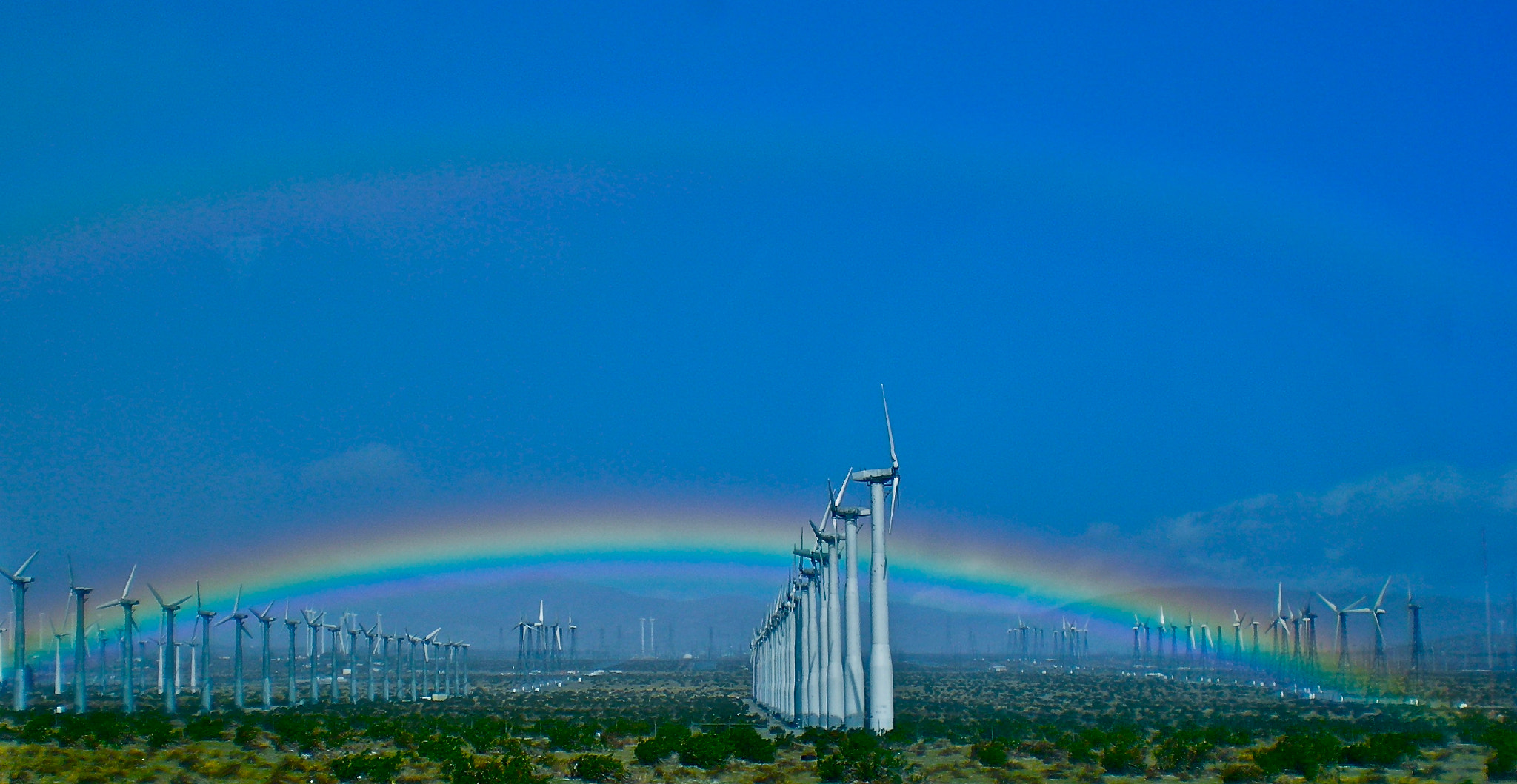 Nikon COOLPIX S200 sample photo. Taken near palm springs photography