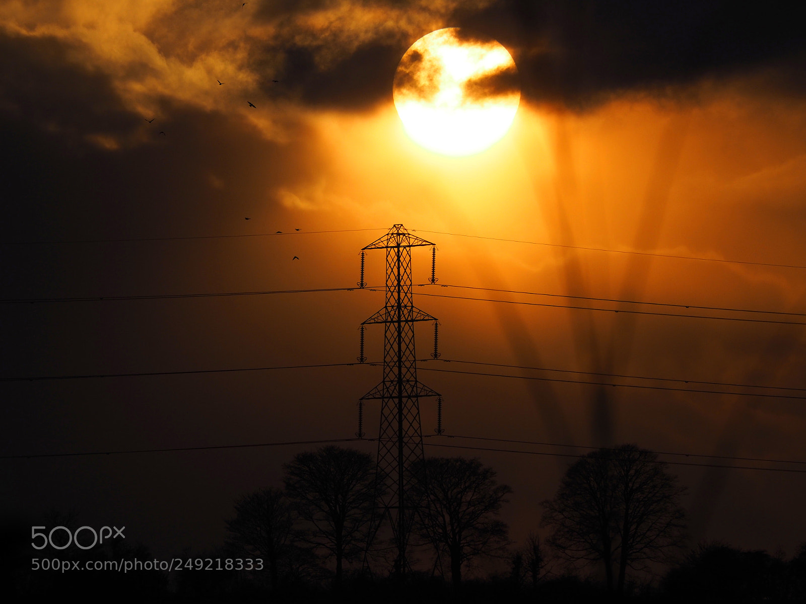 Olympus OM-D E-M1 Mark II sample photo. Sunset photography