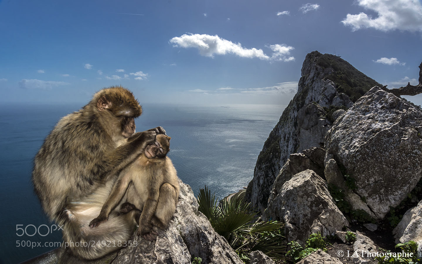 Nikon D7100 sample photo. Gibraltar photography