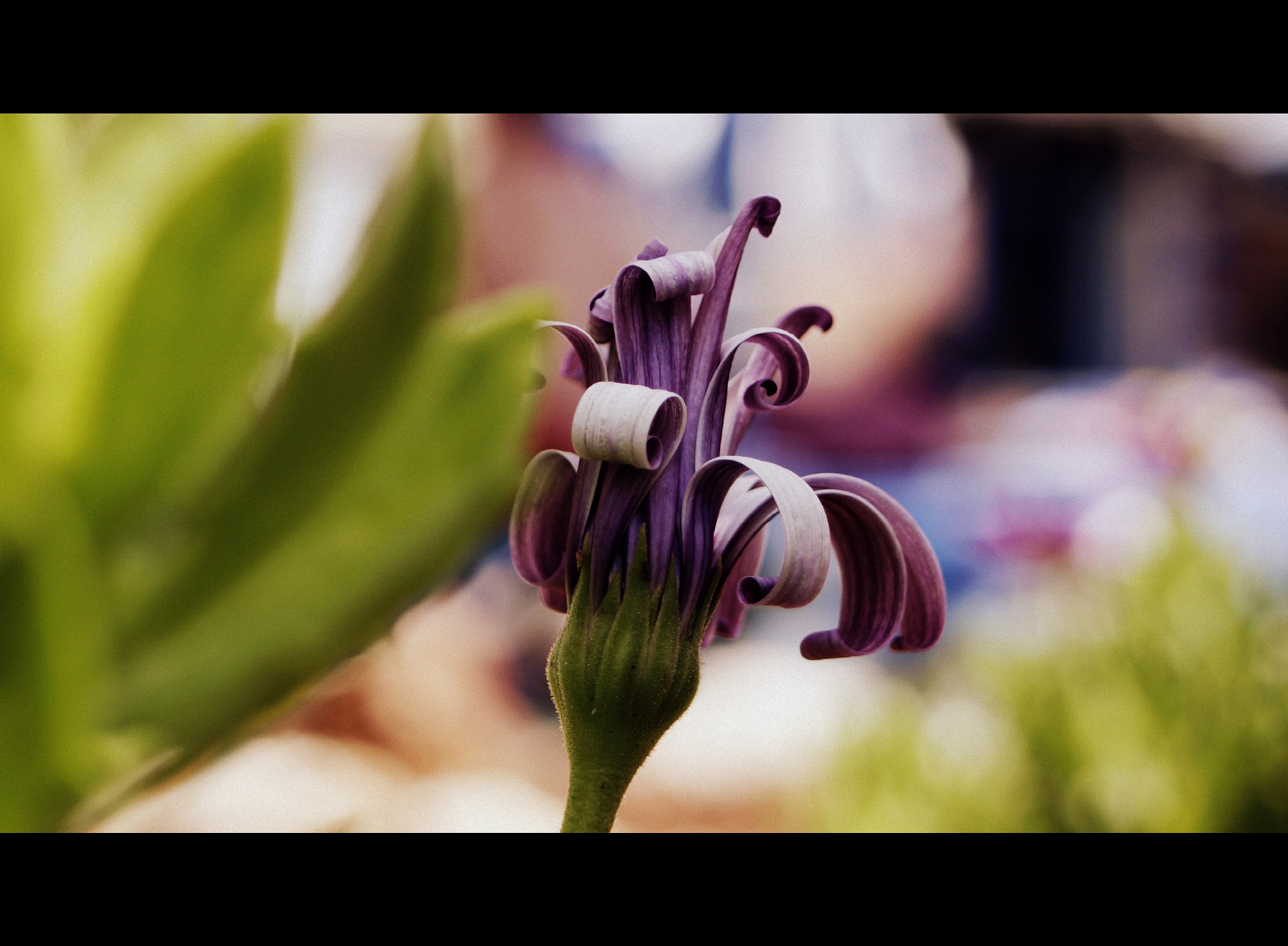 Olympus E-410 (EVOLT E-410) sample photo. Let's get twisted photography