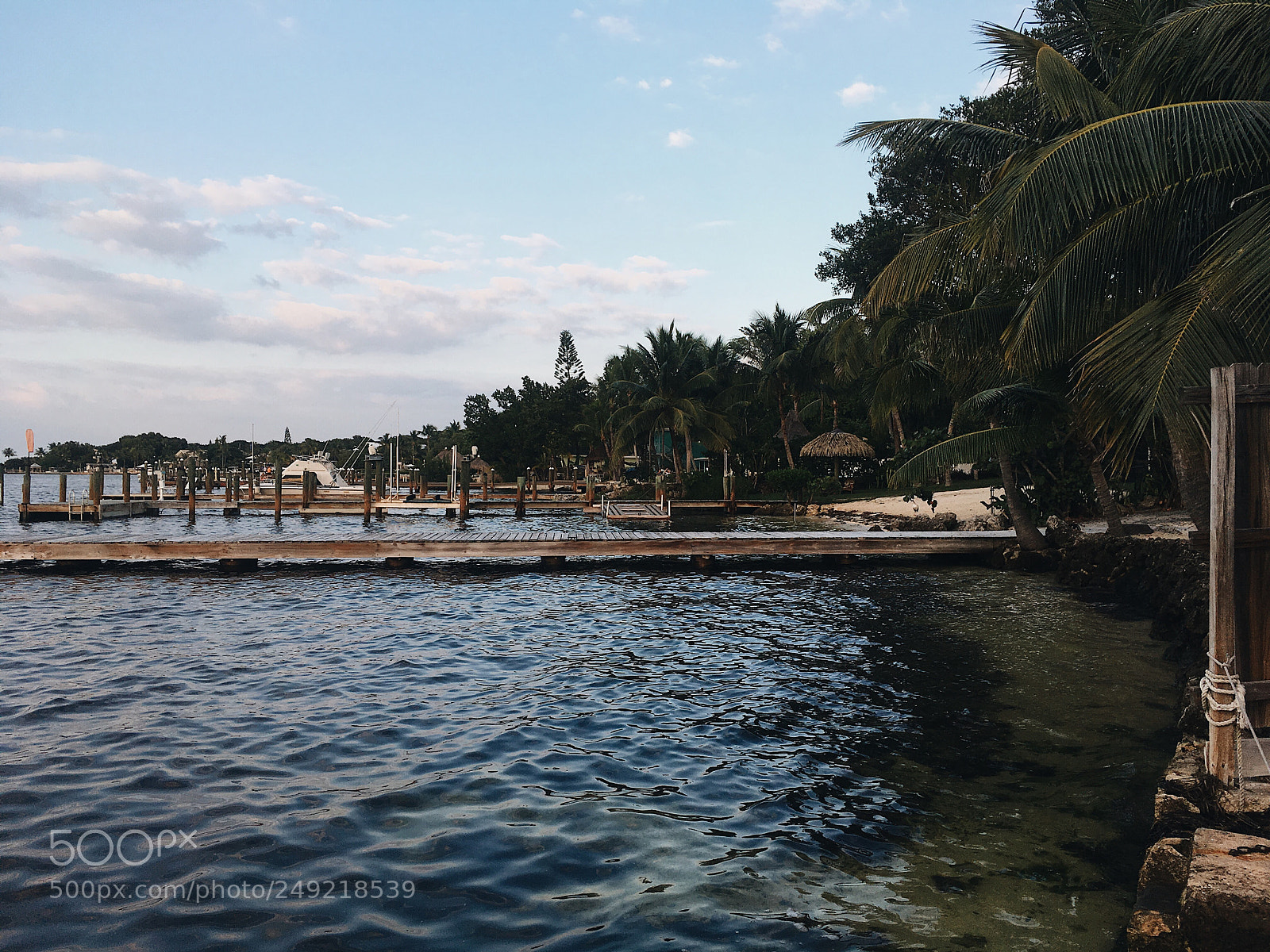 Apple iPhone SE sample photo. Key largo, nov. 2016 photography