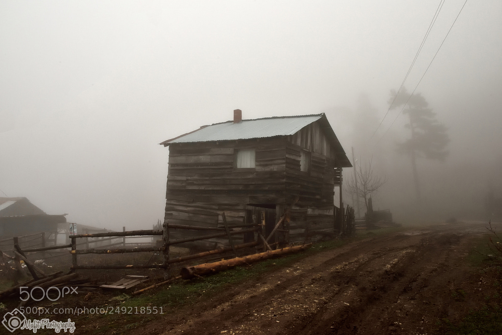 Nikon D810 sample photo. A foggy day photography