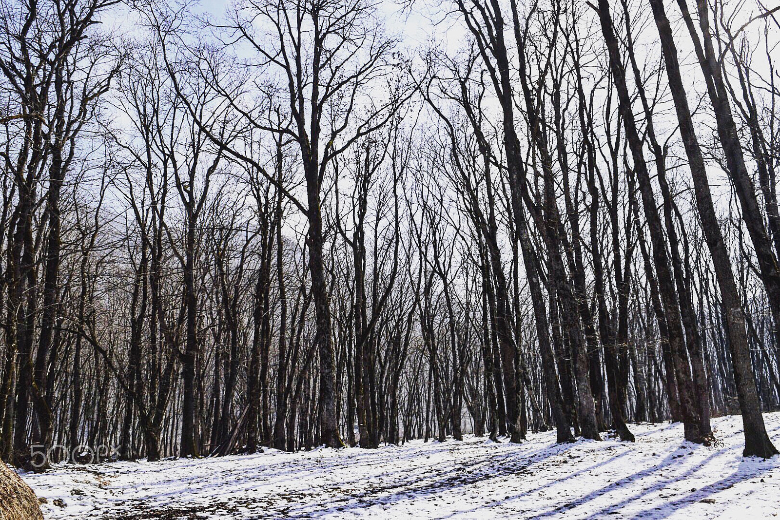Nikon D5300 sample photo. Untitled photography
