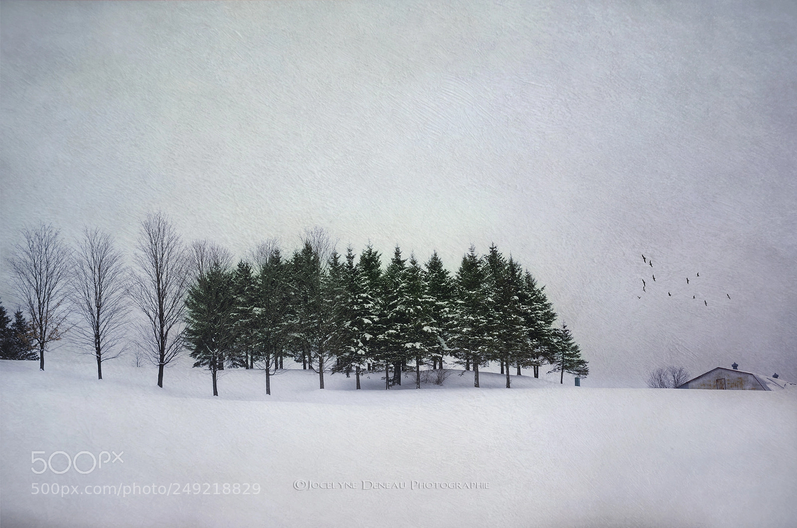Pentax K-5 sample photo. Winter mood photography