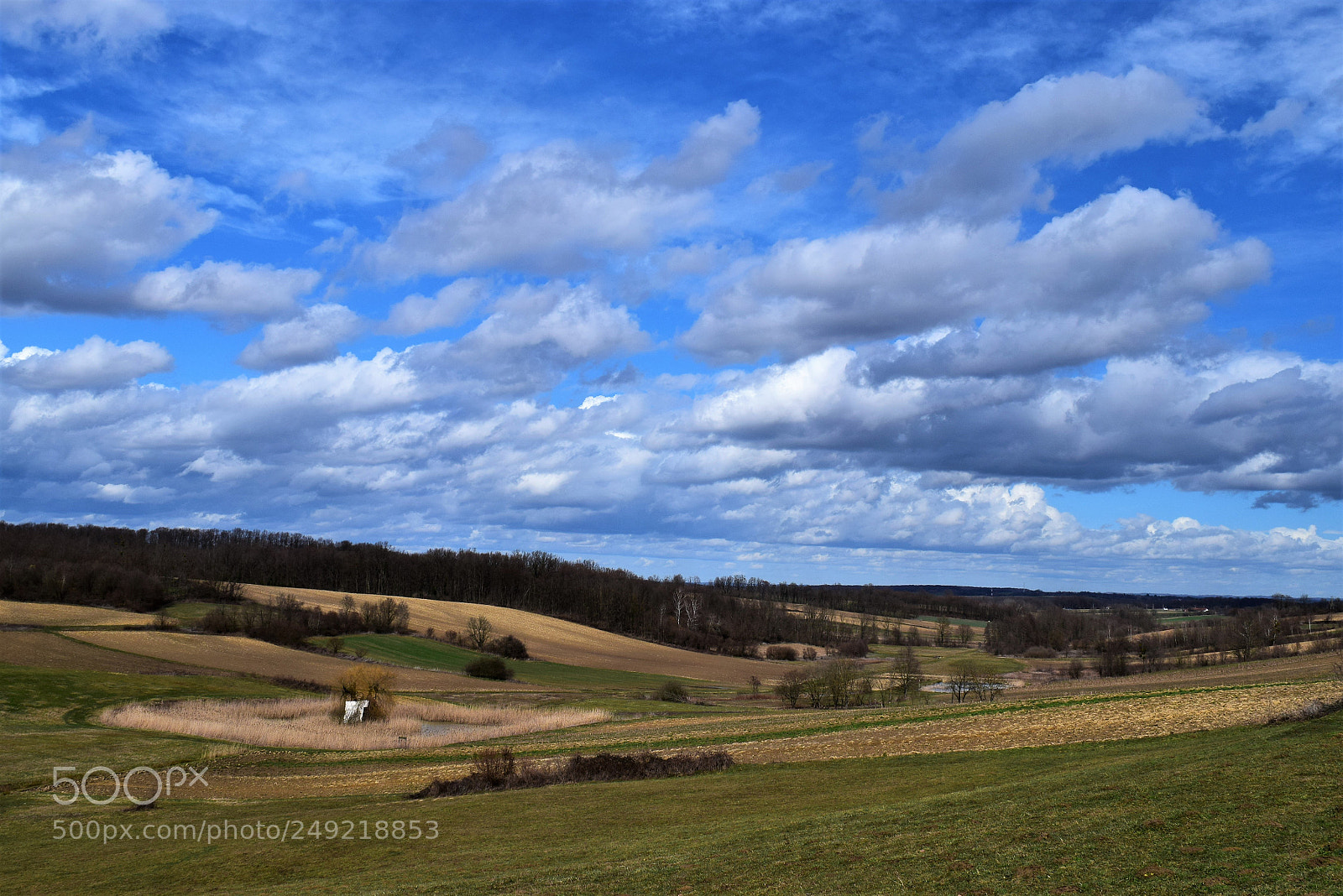 Nikon D3300 sample photo. Spring is here photography
