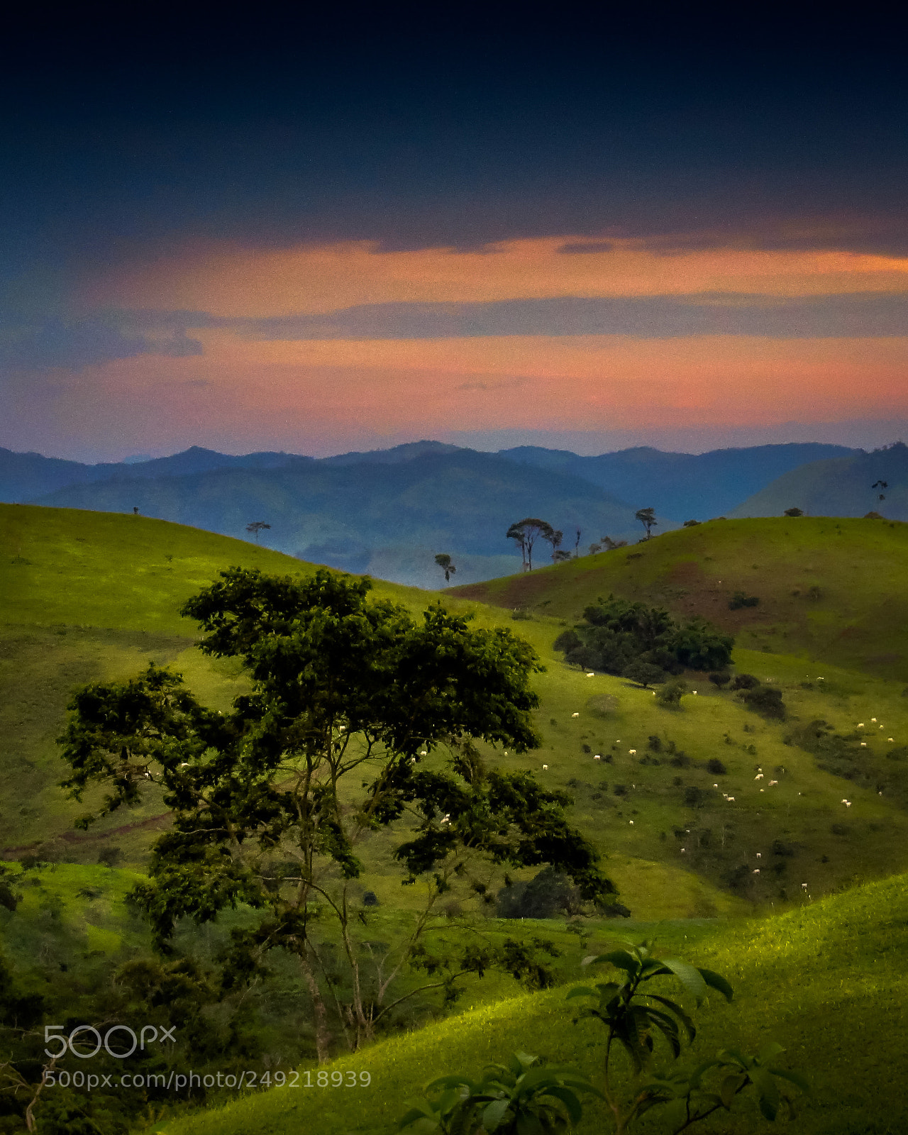 Canon PowerShot SX530 HS sample photo. Road to limeira photography