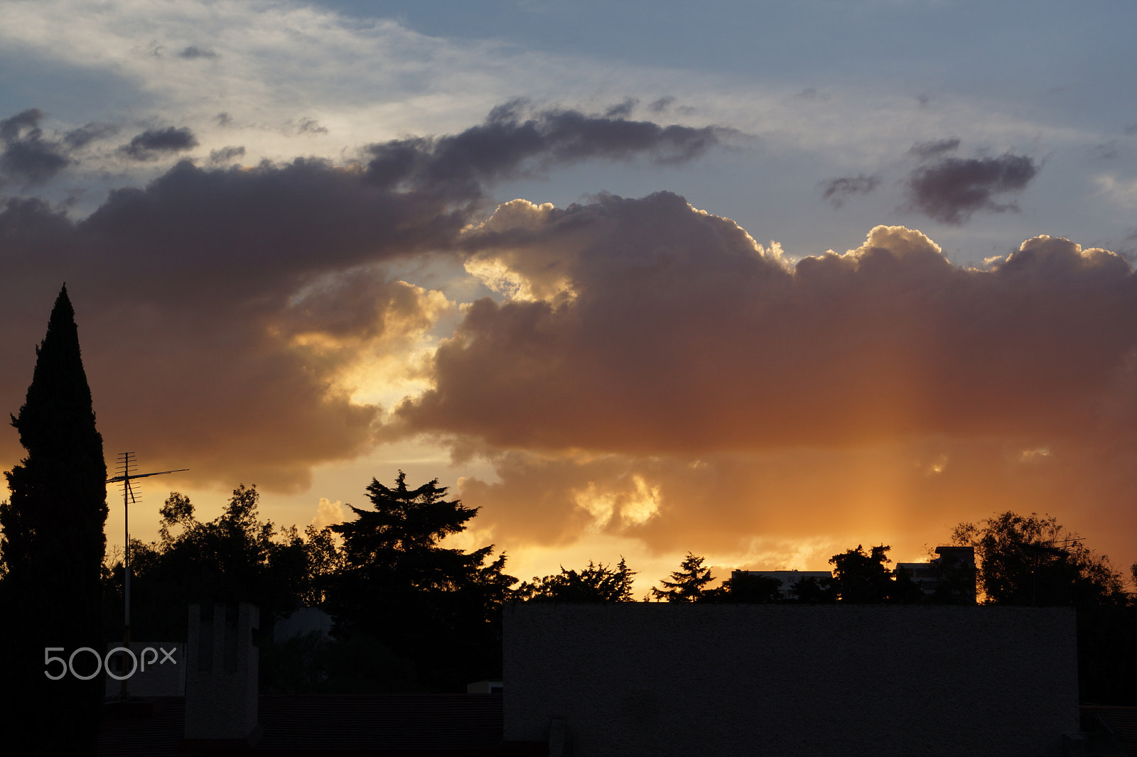 Sony DT 18-200mm F3.5-6.3 sample photo. Dsc photography