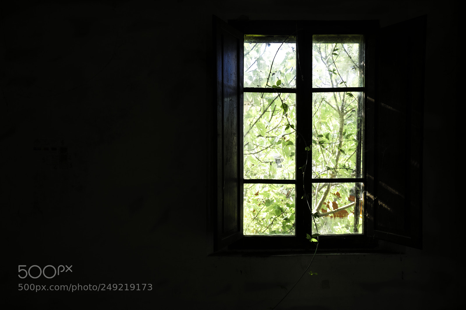 Sony a7 II sample photo. Cascine tavola con fiori photography