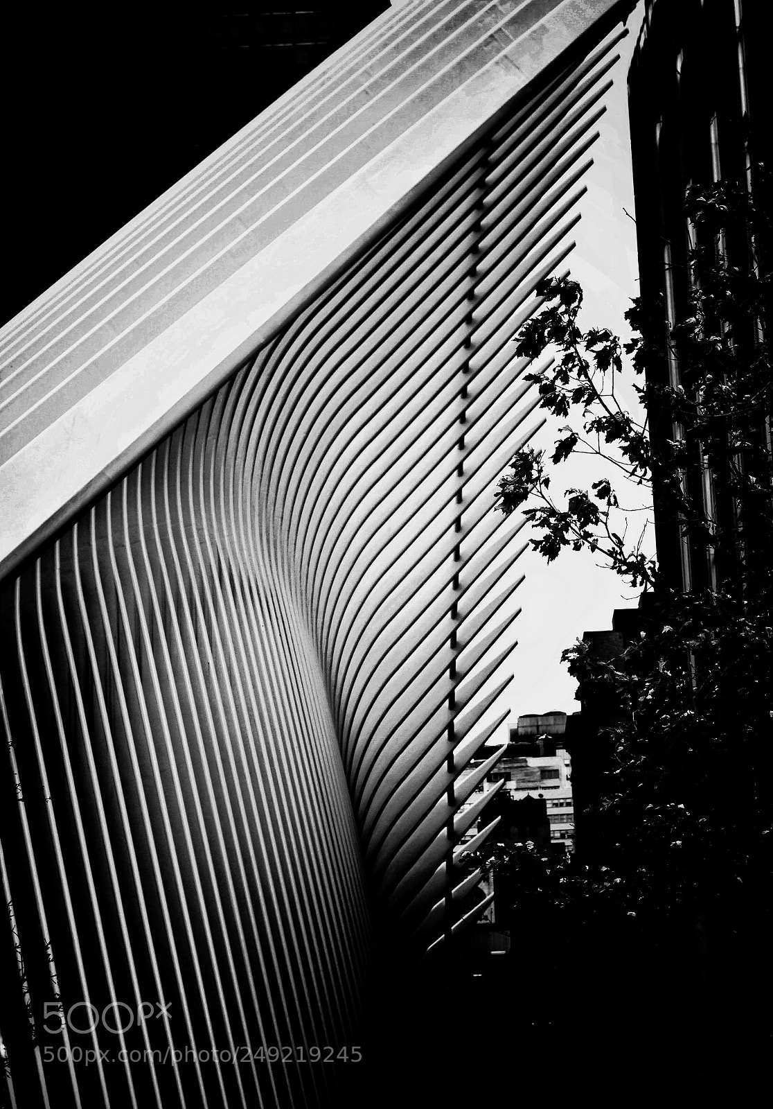 Nikon D5300 sample photo. Lines photography