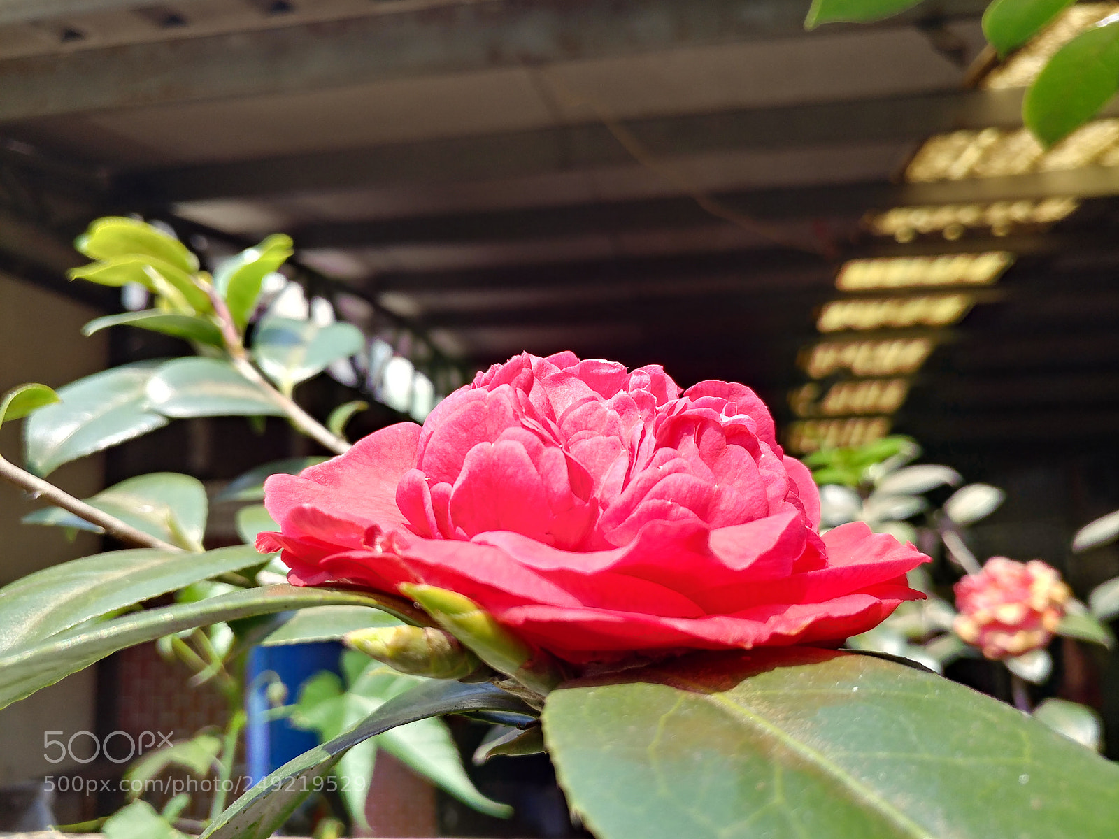 LG V20 sample photo. Untitled photography