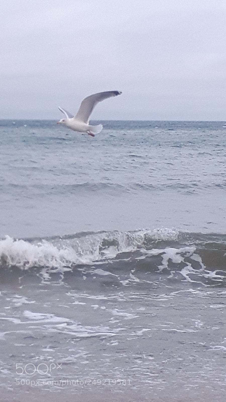 Samsung Galaxy S5 Neo sample photo. 20171224_122101.jpg photography