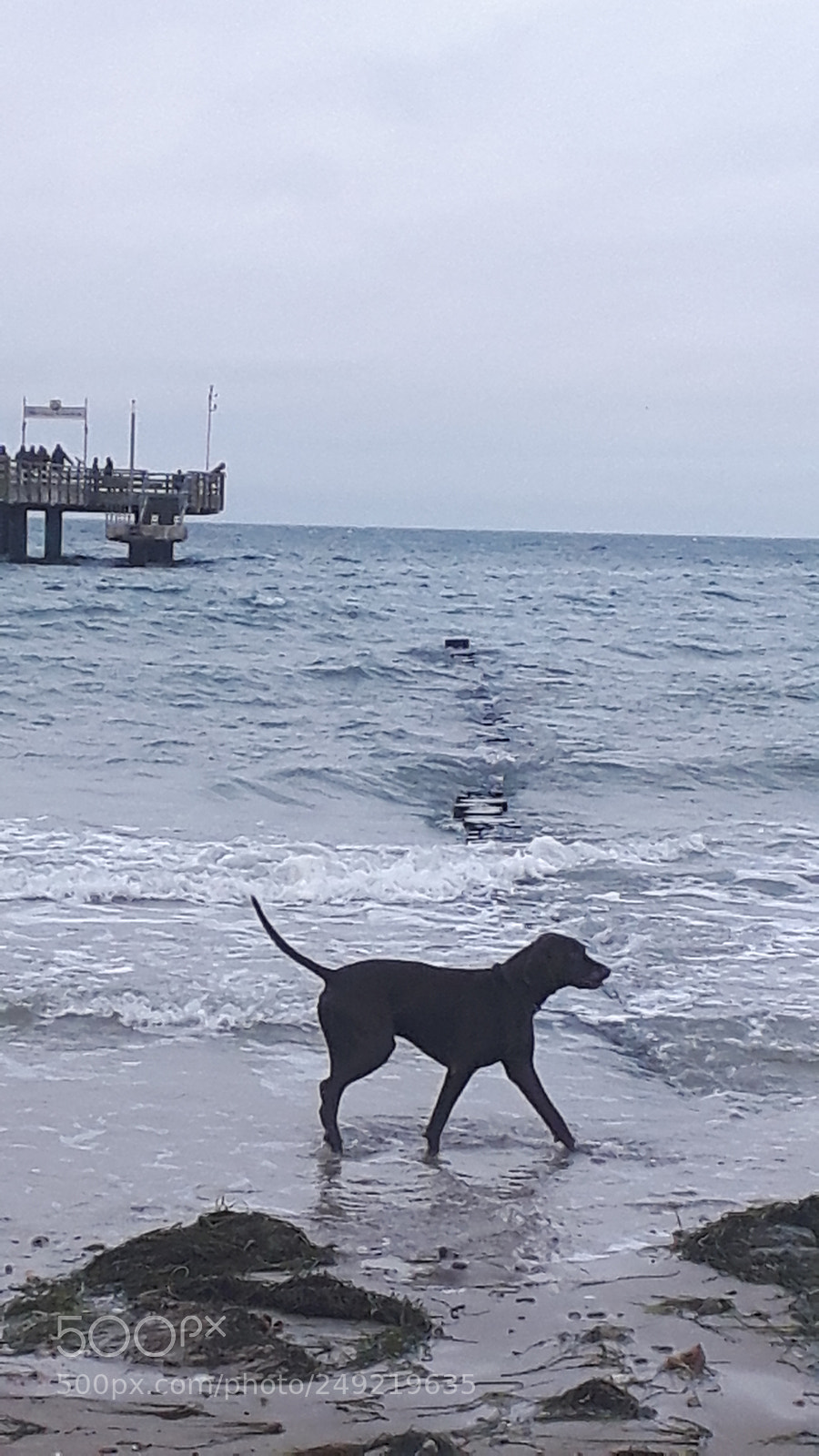Samsung Galaxy S5 Neo sample photo. 20171224_122144.jpg photography