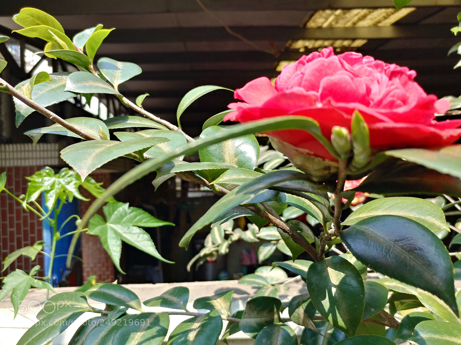 LG V20 sample photo. Untitled photography