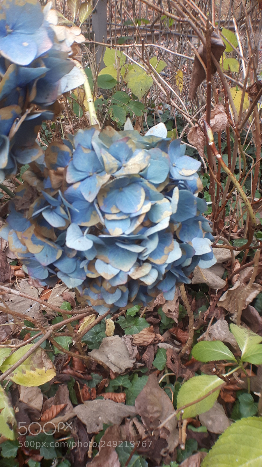 Samsung Galaxy S5 Neo sample photo. 20171224_124111.jpg photography