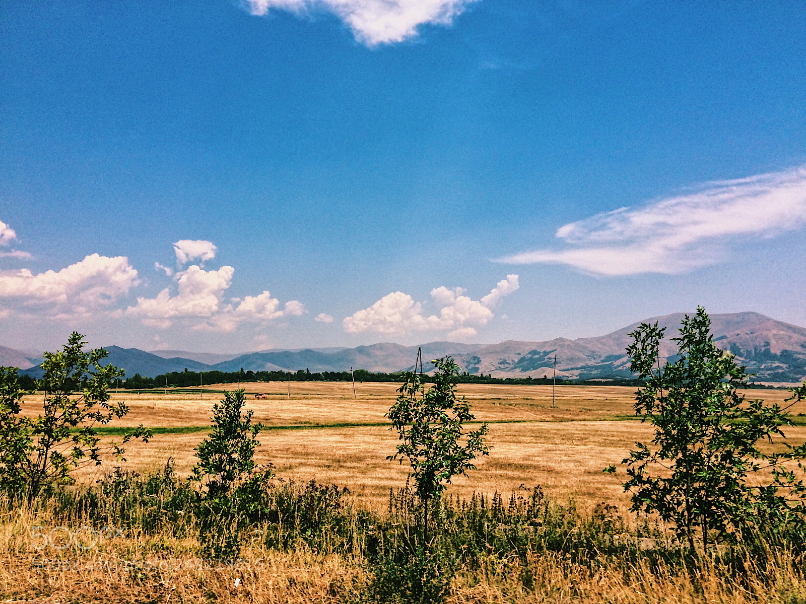 Apple iPhone 5s sample photo. Untitled photography