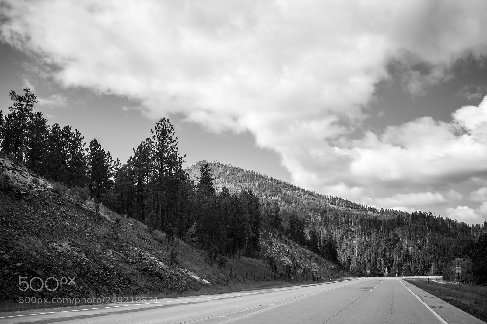 Canon EOS 750D (EOS Rebel T6i / EOS Kiss X8i) sample photo. Road through the black photography