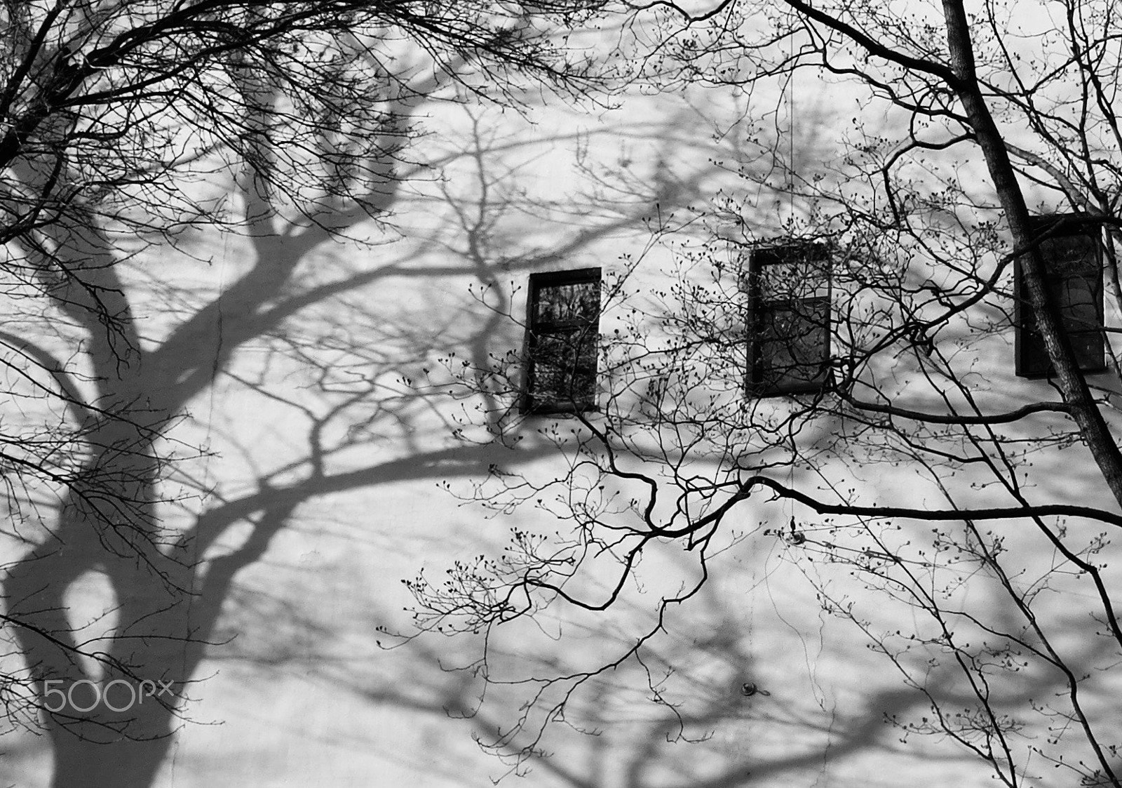 Samsung NX11 sample photo. Three windows photography