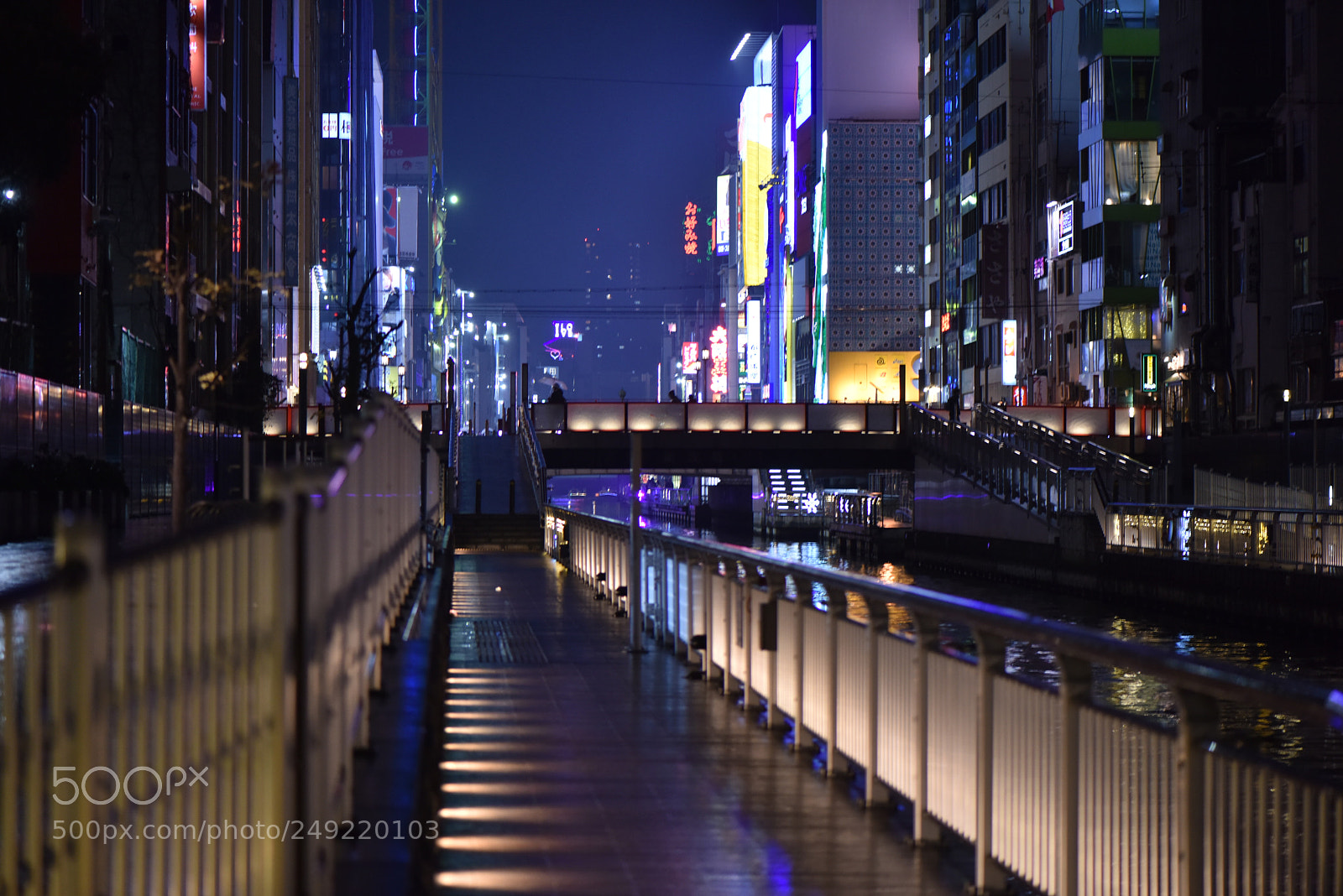 Nikon D810 sample photo. 不夜城 photography