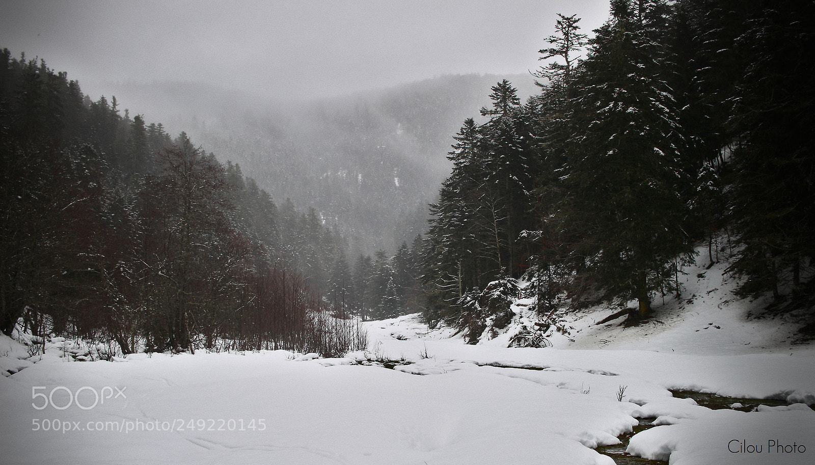 Canon EOS 100D (EOS Rebel SL1 / EOS Kiss X7) sample photo. Snow melancholy photography