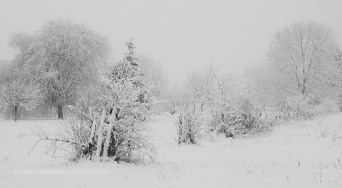Fujifilm X-T1 sample photo. Snow photography
