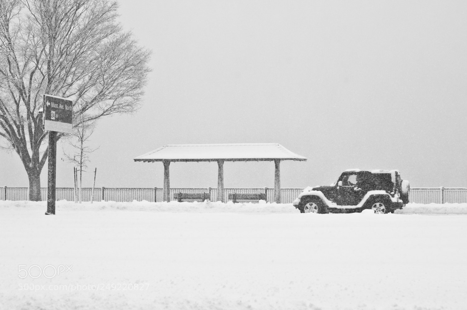Nikon D2X sample photo. Snow blizzard march 13, 2018 photography
