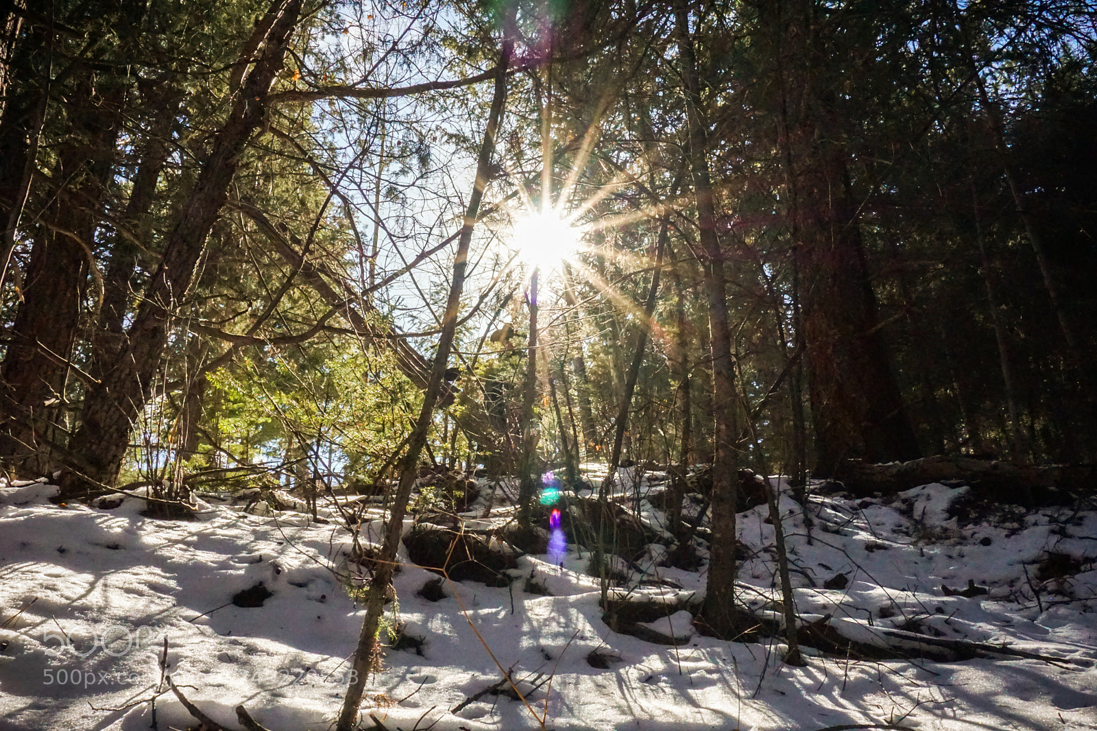 Sony a6000 sample photo. Ranger photography