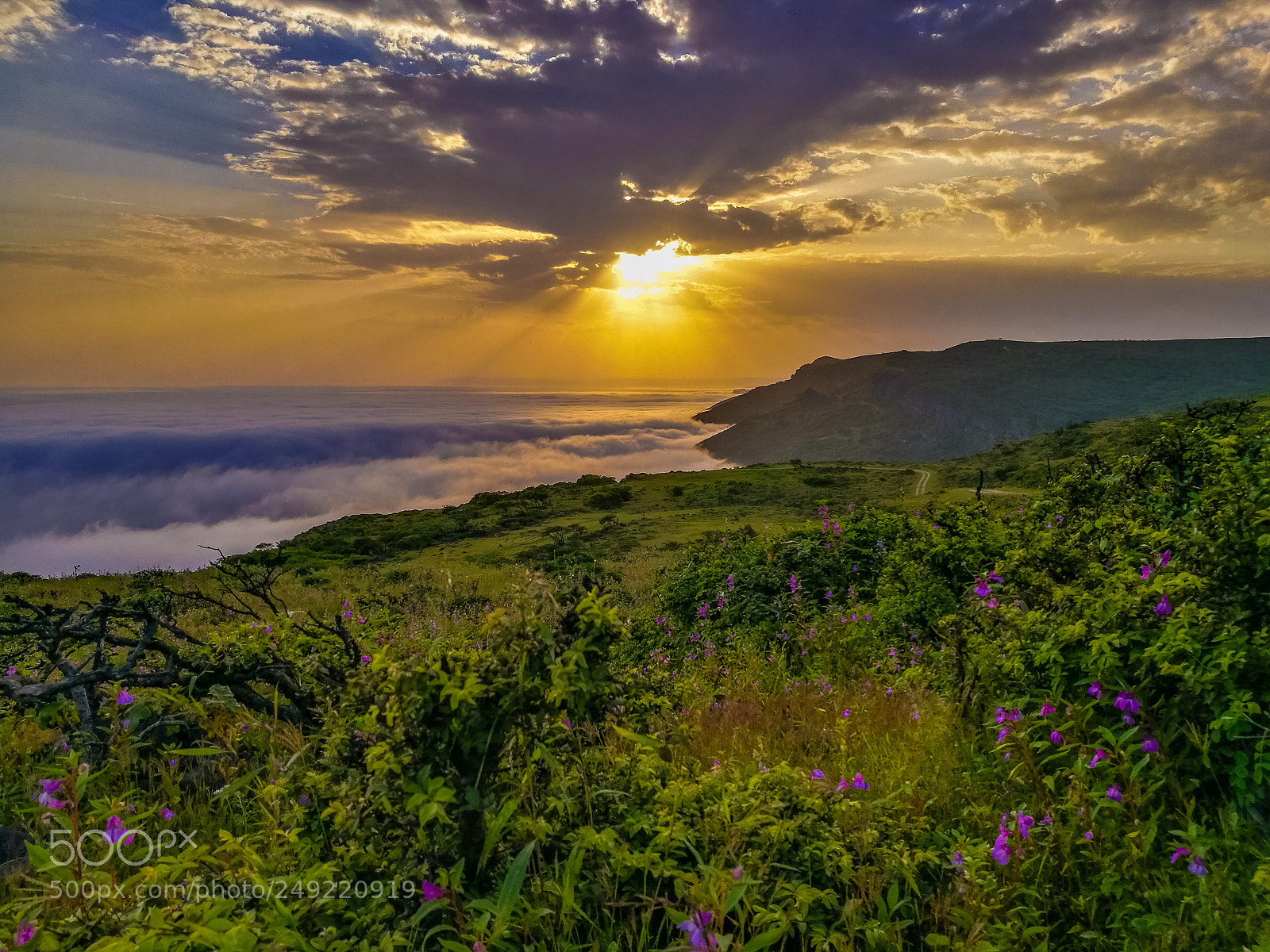 HUAWEI P9 sample photo. Salalah , dhofar , south oman photography