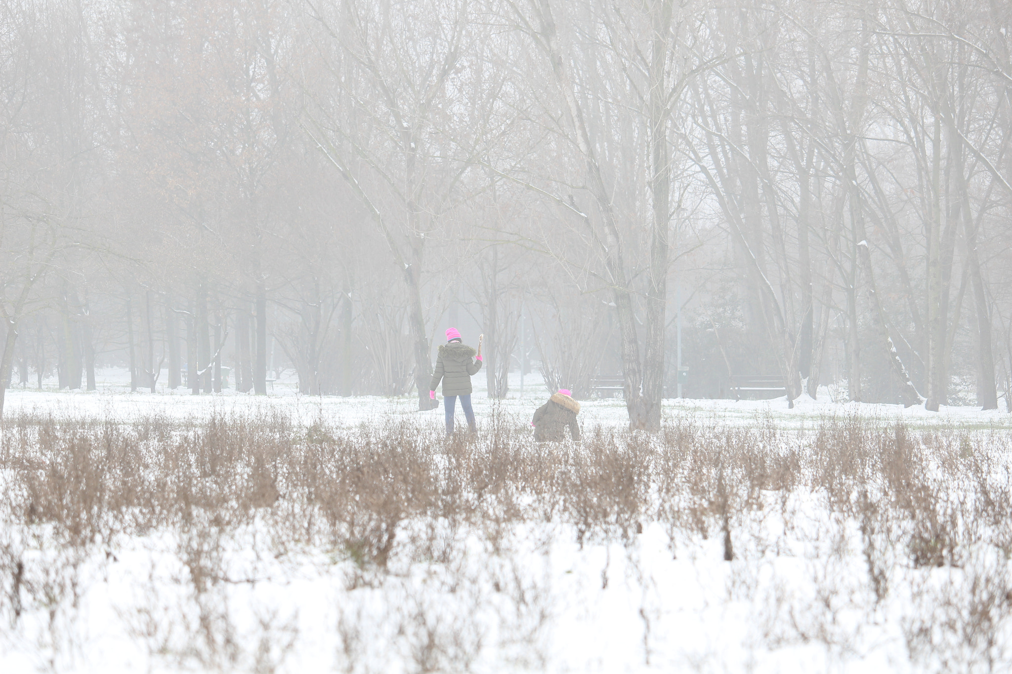 Canon EF-S 55-250mm F4-5.6 IS STM sample photo. La neve porta gioia photography