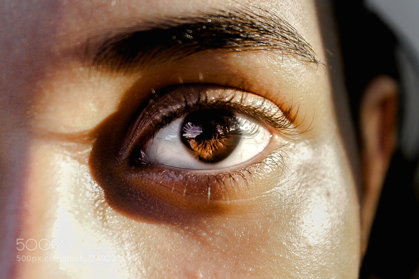 Canon EOS 1100D (EOS Rebel T3 / EOS Kiss X50) sample photo. The eye of a photography