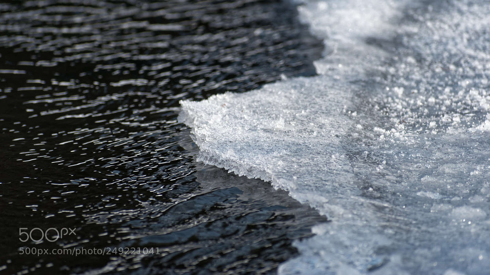 Nikon D5500 sample photo. 6698 photography