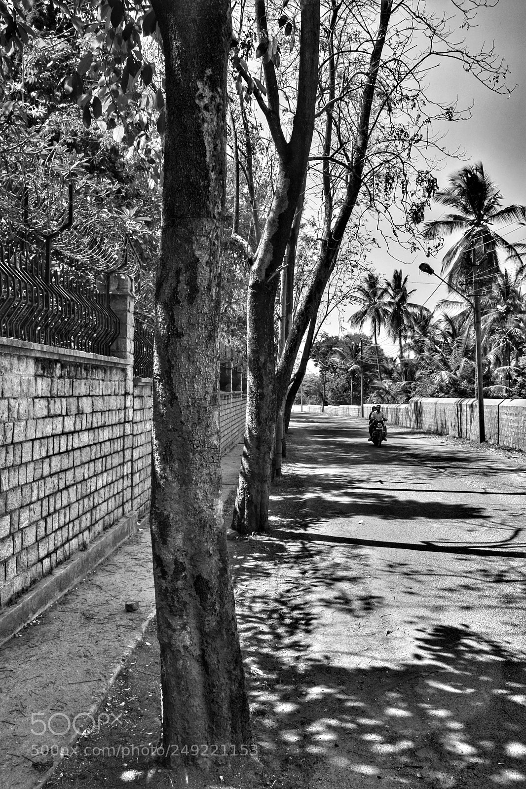 Nikon D3300 sample photo. Lonely road!! photography