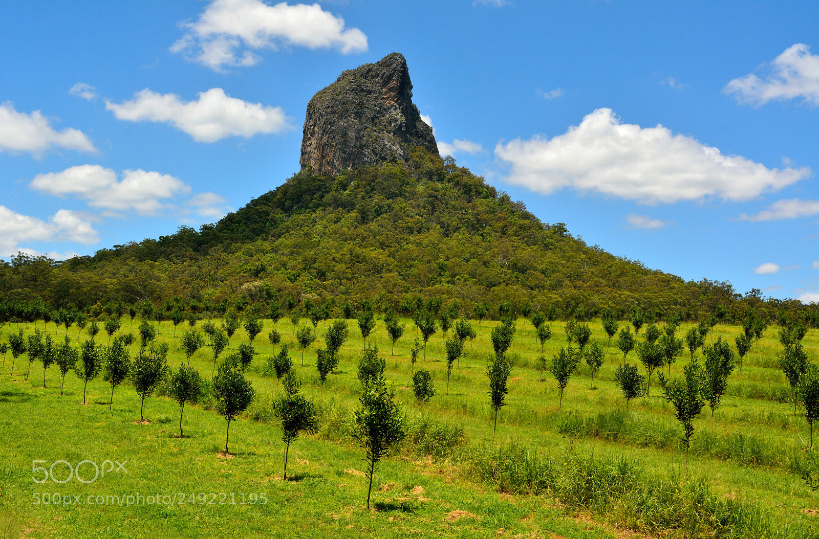 Nikon D7100 sample photo. View of mountain coonowrin photography