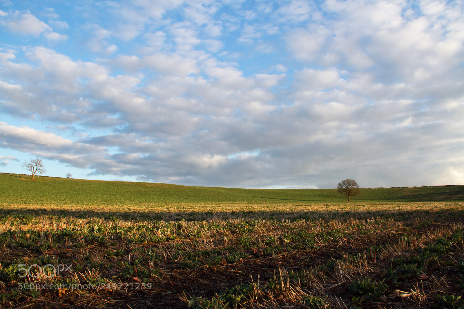 Canon EOS 7D sample photo. March field photography