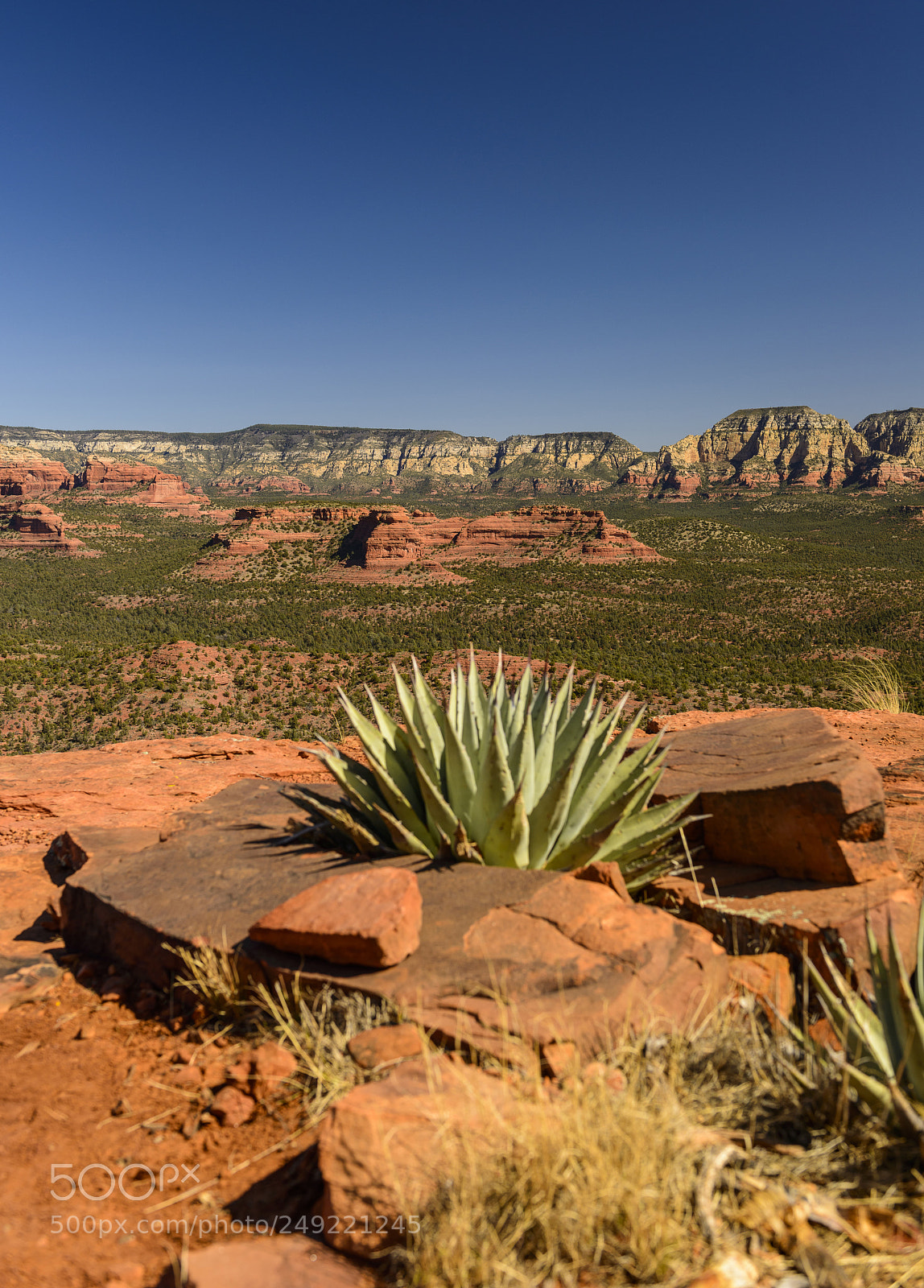 Nikon D800 sample photo. Doe mountain summit vista photography