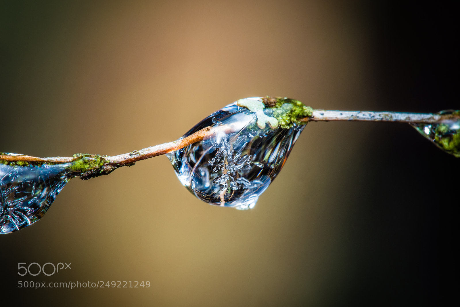Olympus OM-D E-M5 sample photo. Frozen droplets 2017 em5b1059.jpg photography