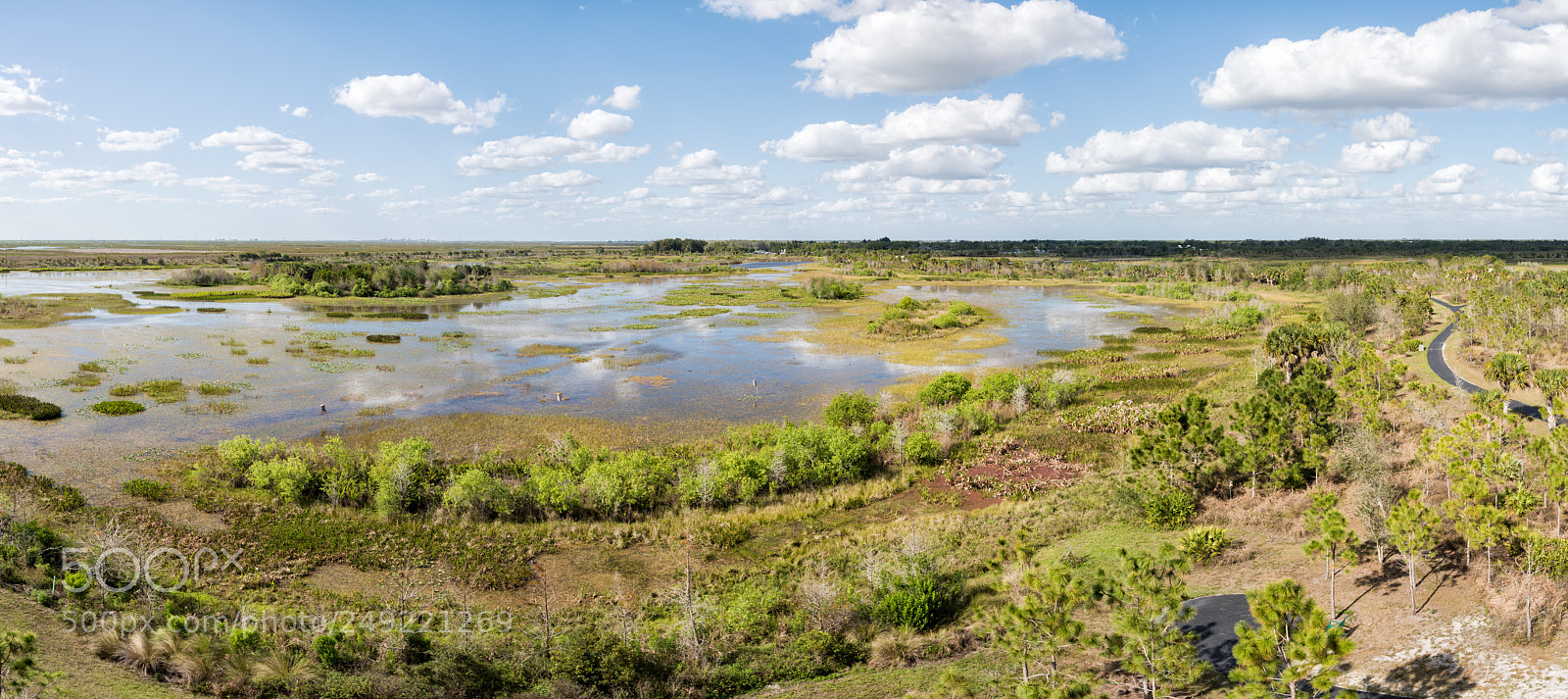 Nikon D810 sample photo. Wellington environmental preserve photography