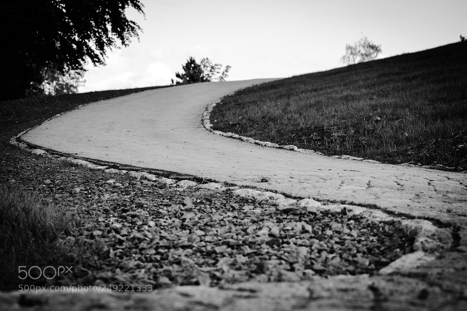 Nikon D3100 sample photo. The way up photography