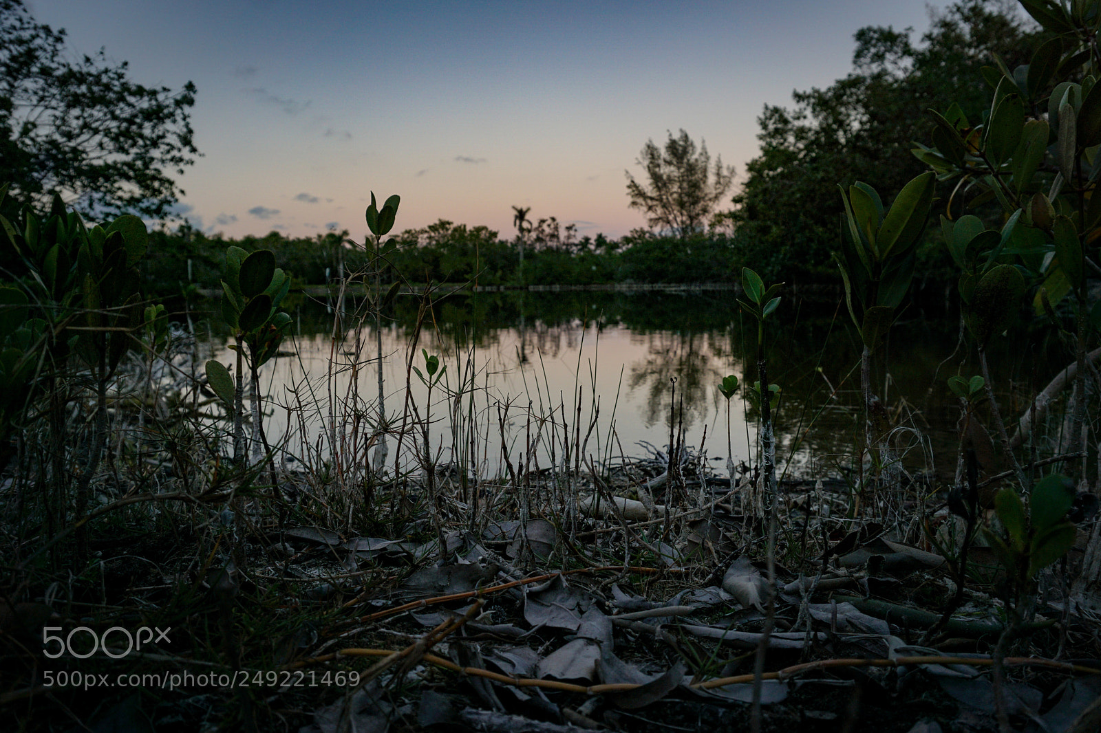 Sony a6000 sample photo. Gator lake photography