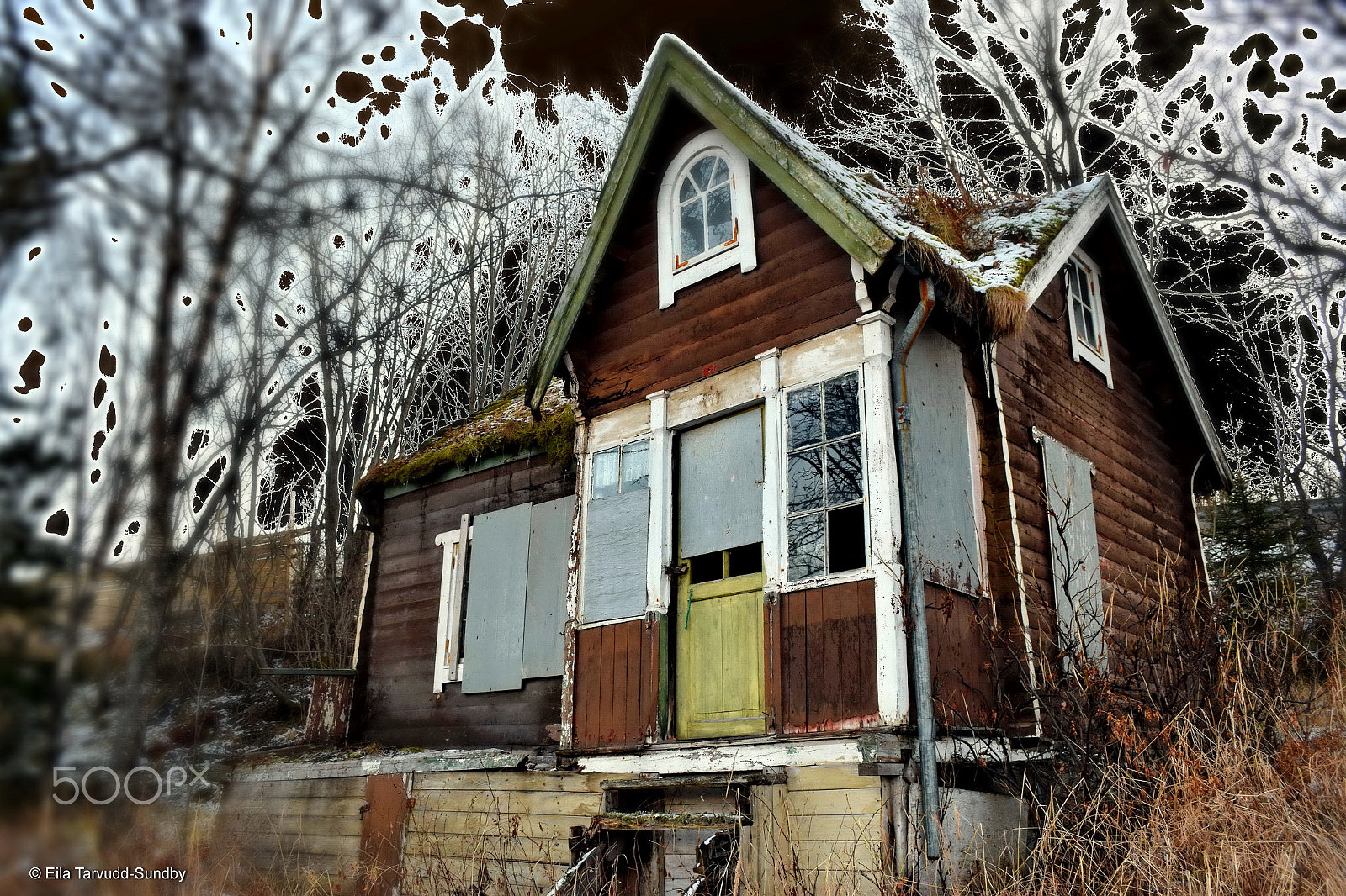 Nikon D5300 sample photo. Nightmare photography