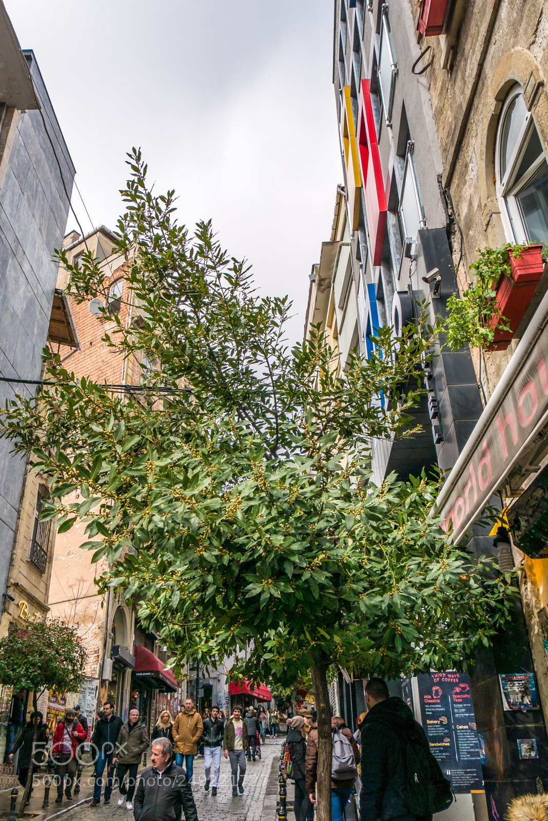 Panasonic Lumix DMC-G85 (Lumix DMC-G80) sample photo. Galata district views, buildings photography