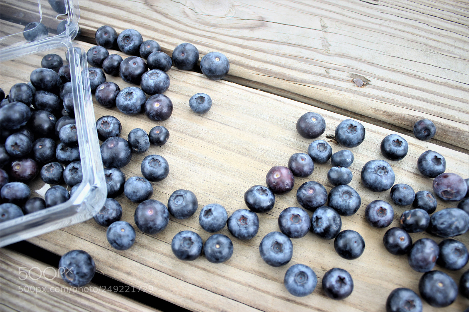 Canon EOS 600D (Rebel EOS T3i / EOS Kiss X5) sample photo. Berry blue photography