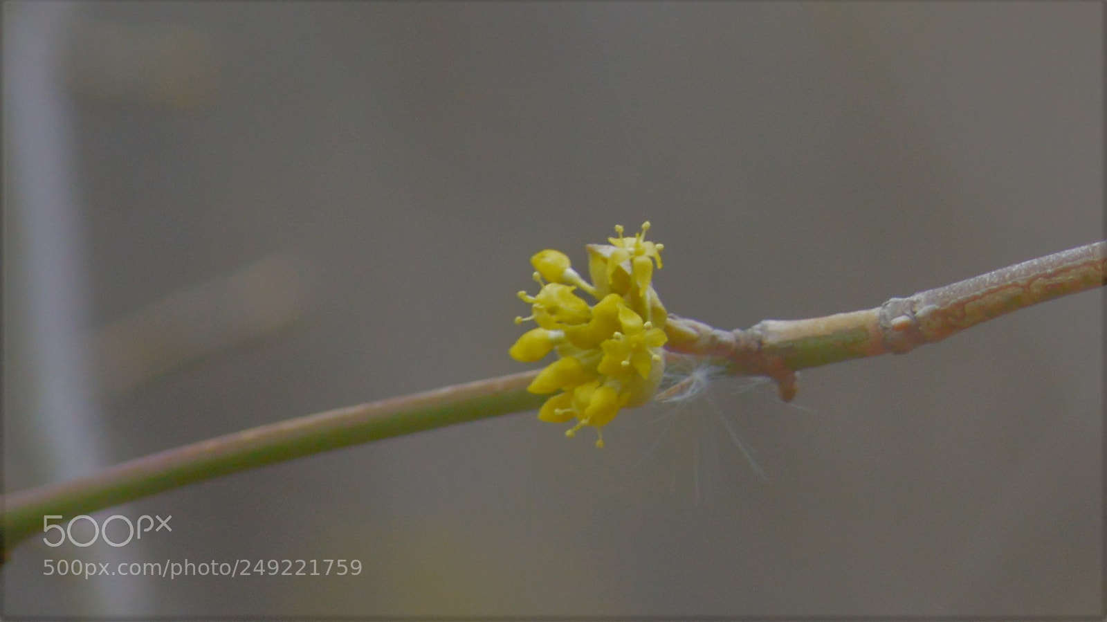 Nikon D3200 sample photo. Untitled photography