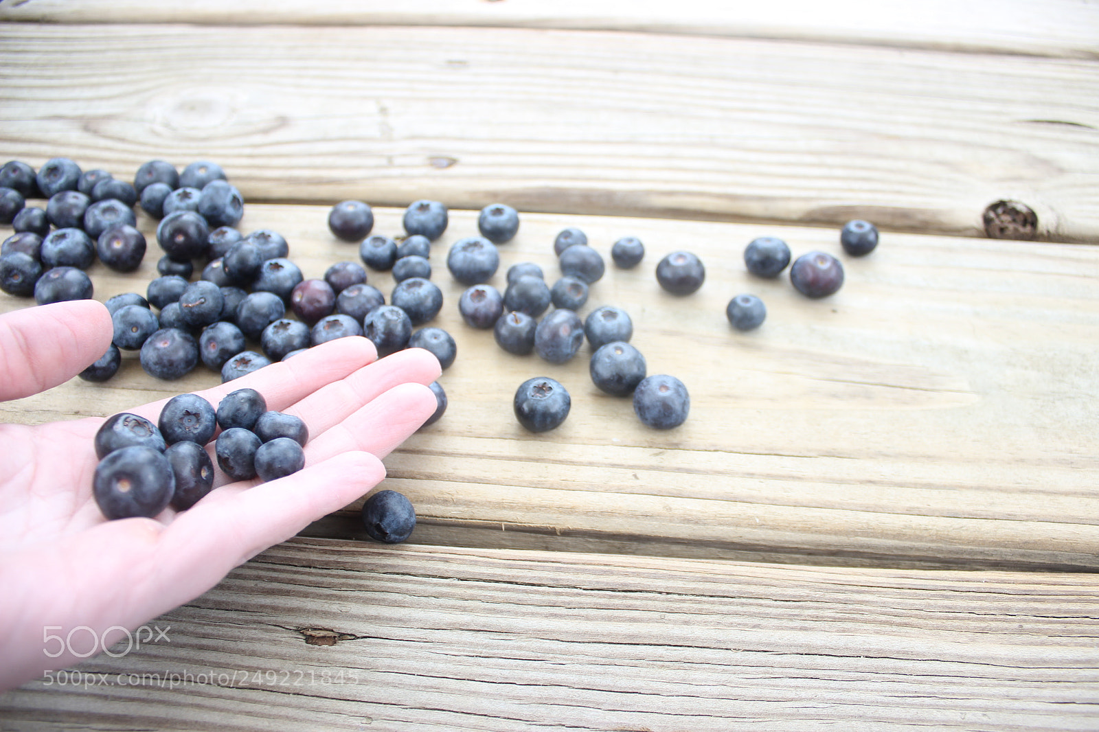 Canon EOS 600D (Rebel EOS T3i / EOS Kiss X5) sample photo. Blueberries photography