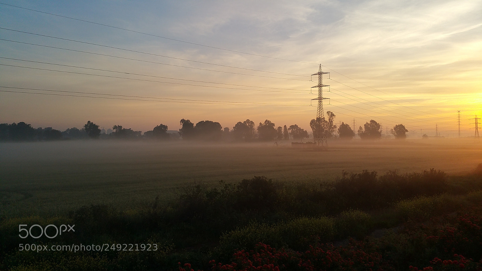 Samsung Galaxy Note4 sample photo. Untitled photography